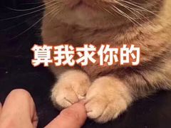 -茉沏(光启城店)