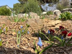 -国家植物园南园