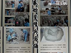 -秦始皇帝陵博物院(兵马俑)