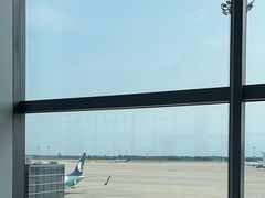 -青岛胶东国际机场