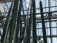 -南山植物园