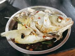 -老杨砂锅鱼庄
