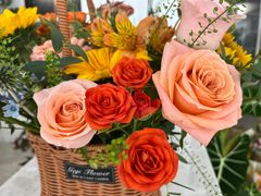 -Gigi Florist·Dk Coffee