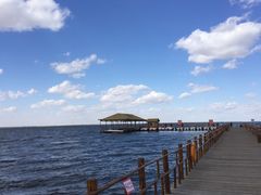 -乌梁素海景区