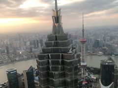 -上海柏悦酒店·世纪100牛排馆