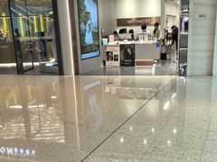 -海马体大师店(广州天汇广场IGC大师店)