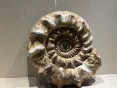 -安徽省地质博物馆