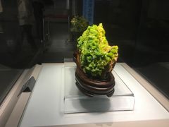 -安徽省地质博物馆