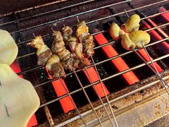-野火鲜货烧烤(河边小院店)