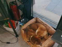 -NOTBAD 须时·咖啡馆