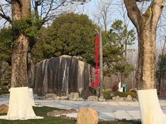 -合肥滨湖国家森林公园