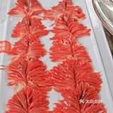 完美周末，火锅永远对