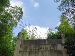 -紫金山山顶公园