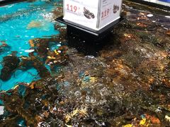 -盒马鲜生(皇庭广场店)