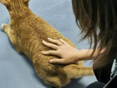 -蓝天射箭馆·专业射箭运动(诚丰广场店)