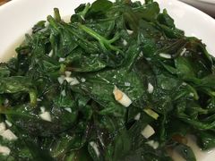 人参菜-芦茨金富饭庄·25年老字号·专做稻草鸡