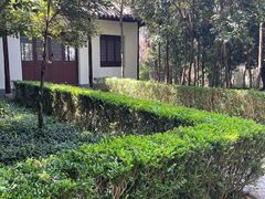 -上海佘山国家森林公园天马山园