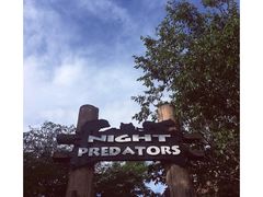 -清迈夜间动物园