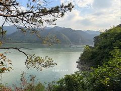 -羚羊峡古栈道森林公园