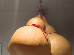 -保定市动物园
