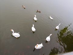 -迎泽公园