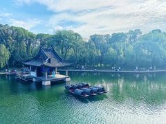 -鲁镇