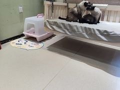 -藏猫猫咖啡主题馆(中央大道店)