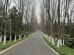 -宜兴龙背山森林公园