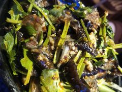 -蛙来哒(湖州东吴银泰百货店)