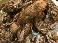 -老家黄墩小错鸡·活海鲜