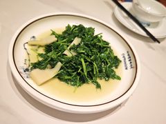 -华铝饭店