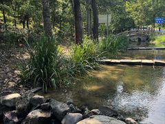 -白水寺森林公园