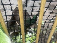 -品德宏·孔雀宴的发源地(金塔园店)