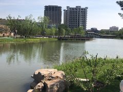 -西海子公园