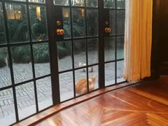 -福1015(愚园路店)