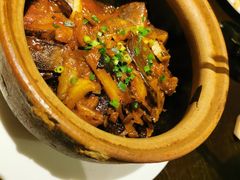 砂锅蝶鱼头-甄御•海鲜新青岛菜(麦岛店)