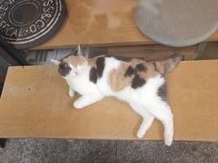 -CENCHI 汵奇咖啡(东四店)