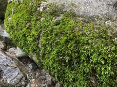 -陕西省红河谷森林公园