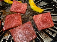 -炼火烤肉店