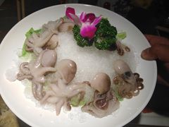 -川西坝子(老军营店)