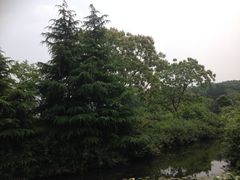 -白马涧龙池景区