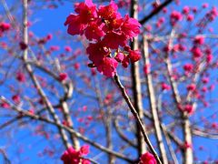 -福建鲤鱼洲酒店