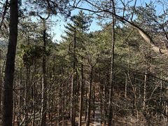 -四明山国家森林公园