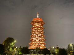 -洋湖国家湿地公园