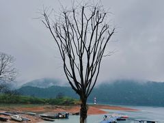 -黄山太平湖风景区