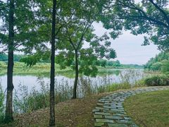 -梁鸿国家湿地公园