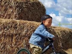 -BBR运动馆·障碍竞技·跑酷·体适能(海珠琶洲店)