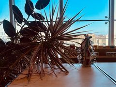 -Seesaw Coffee(朝阳大悦城店)