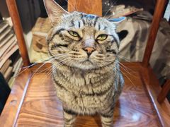 -正阳书局(西四南大街店)