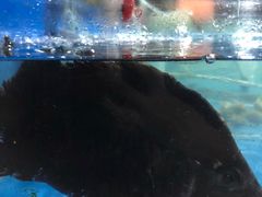-金渔村海鲜烧烤大排档